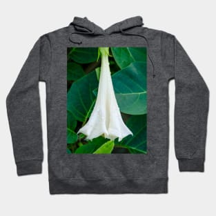 Shy Datura Flower Photograph. Hoodie